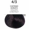 OYSTER 4/3 Golden Chestnut | Permanent Hair Color | Perlacolor