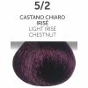 OYSTER 5/2 Light Irise Chestnut | Permanent Hair Color | Perlacolor PRODUCTS