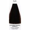 OYSTER 5/6 Light Red Chestnut | Purity | Ammonia-Free Permanent Hair Color