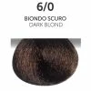 OYSTER 6/0 Dark Blonde | Permanent Hair Color | Perlacolor PRODUCTS