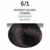 OYSTER 6/1 Dark Ash Blonde | Permanent Hair Color | Perlacolor PRODUCTS