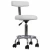 SSW Trolleys And Stools D3009 | Stool